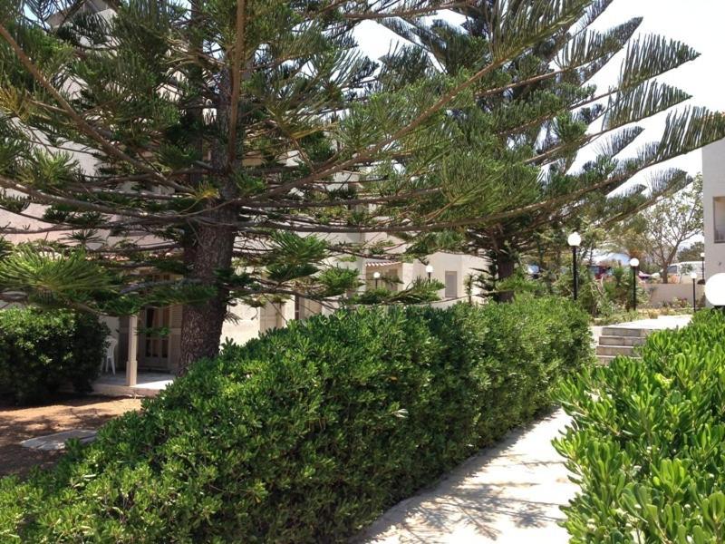 Panorama-Seaview Studios & Apartments ヘルソニソス エクステリア 写真